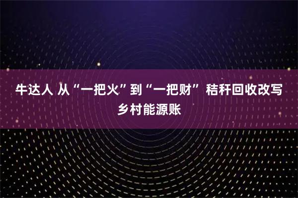牛达人 从“一把火”到“一把财” 秸秆回收改写乡村能源账