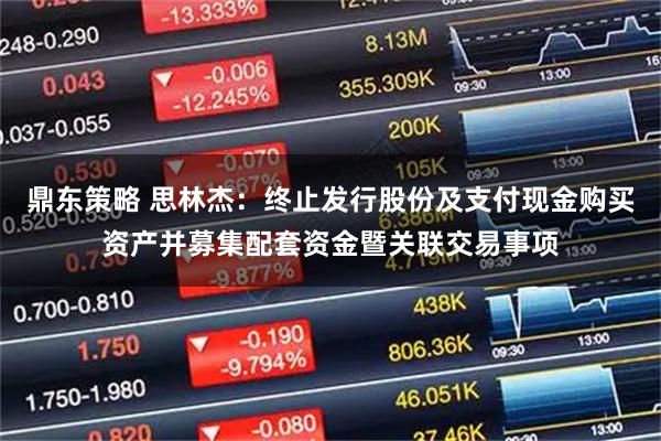 鼎东策略 思林杰：终止发行股份及支付现金购买资产并募集配套资金暨关联交易事项