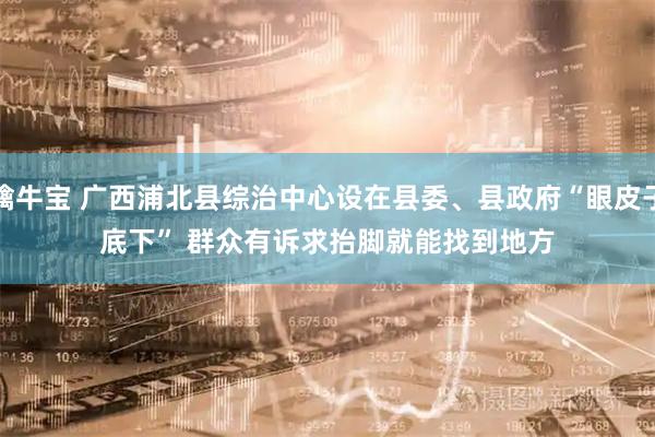 擒牛宝 广西浦北县综治中心设在县委、县政府“眼皮子底下” 群众有诉求抬脚就能找到地方