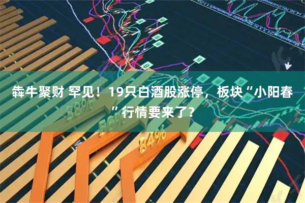 犇牛聚财 罕见！19只白酒股涨停，板块“小阳春”行情要来了？