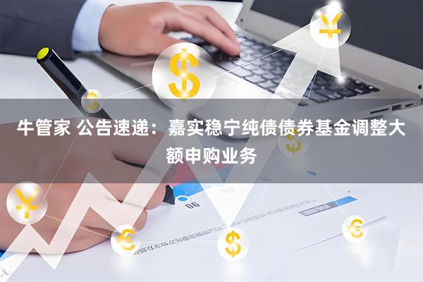 牛管家 公告速递：嘉实稳宁纯债债券基金调整大额申购业务