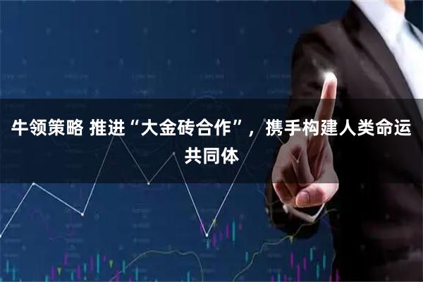 牛领策略 推进“大金砖合作”，携手构建人类命运共同体